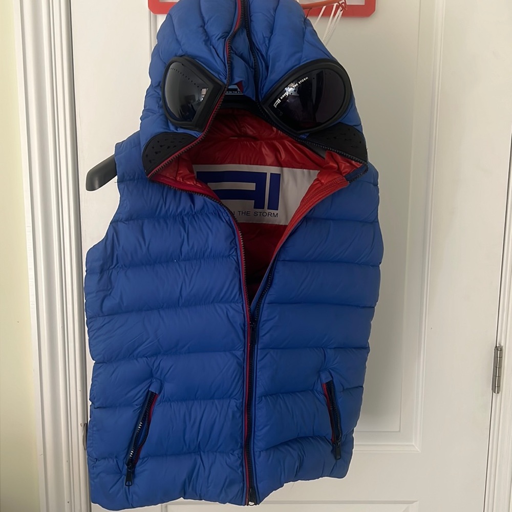 AI Riders on the storm down vest